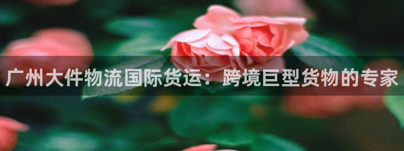 公海赌船网址